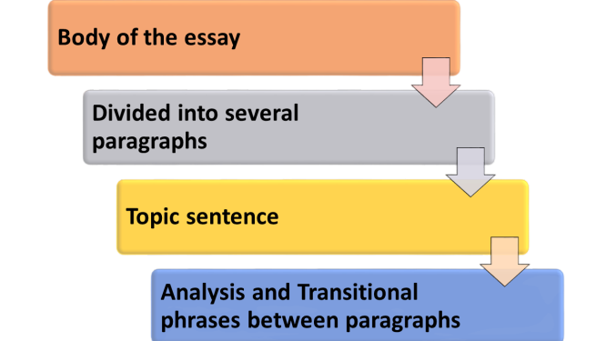 Structure of Essay Body Paragraphs​