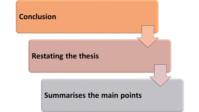 Structure of Essay Conclusion​