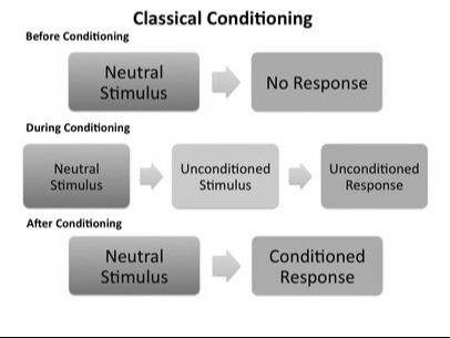 Classical conditioning