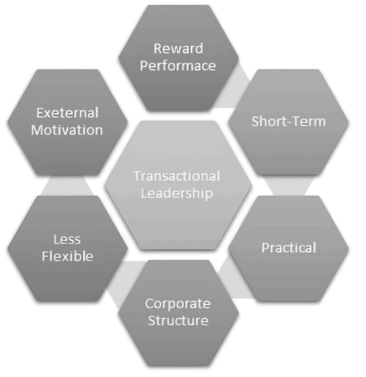 Leadership Development 1 Transactional leadership